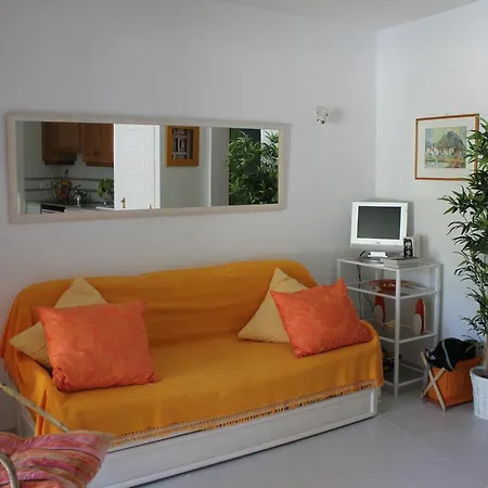 Oasis 71 *