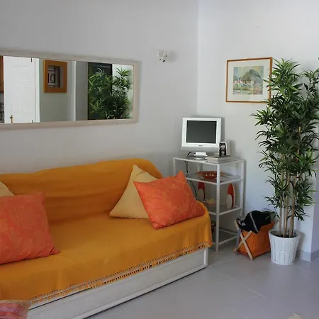Oasis 71 * Denia