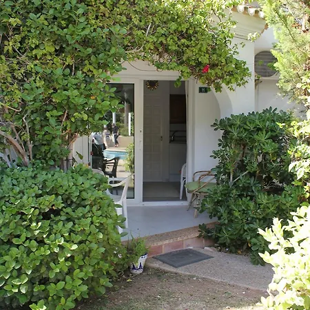 Oasis 71
